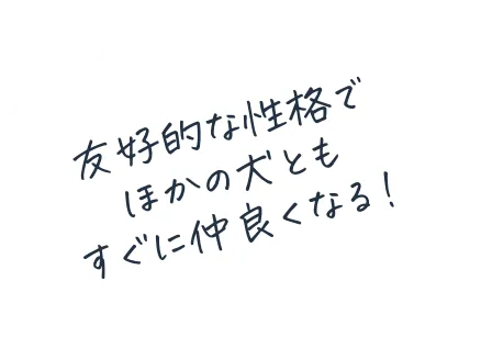 吹き出し